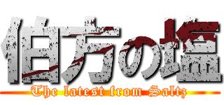 伯方の塩 (The latest from Saltz)