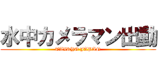 水中カメラマン出動 (TAIRYO JAPAN)