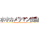 水中カメラマン出動 (TAIRYO JAPAN)