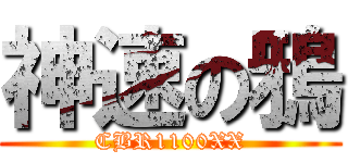 神速の鴉 (CBR1100XX)