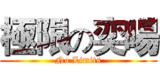 極限の奕暘 (No Limits)