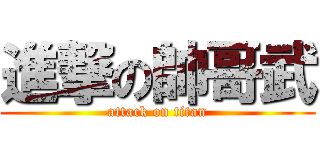 進撃の帥哥武 (attack on titan)