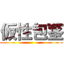 仮性包茎 ()