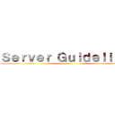 Ｓｅｒｖｅｒ Ｇｕｉｄｅｌｉｎｅｓ ()