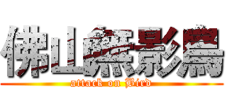 佛山無影鳥 (attack on Bird)