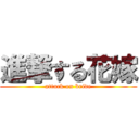 進撃する花嫁 (attack on bride)