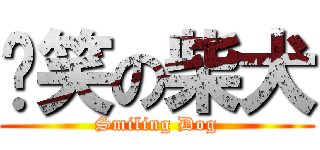 憨笑の柴犬 (Smiling Dog)