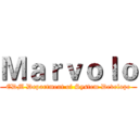 Ｍａｒｖｏｌｏ (EDM Department of System Develope)