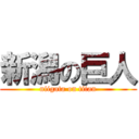 新潟の巨人 (niigata on titan)