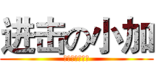 进击の小加 (无人问津的新人)