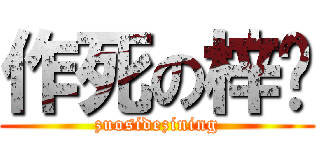 作死の梓宁 (zuosidezining)