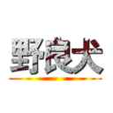 野良犬 ()