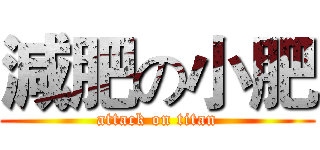 減肥の小肥 (attack on titan)