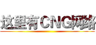 这里有ＣＮＧ网络 ()