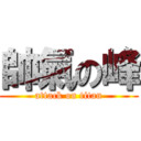 帥氣の峰 (attack on titan)