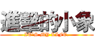 進擊的小象 (IT`S MY LIFE.)