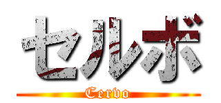 セルボ (Cervo)