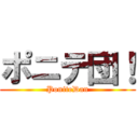 ポニテ団！ (PoniteDan)