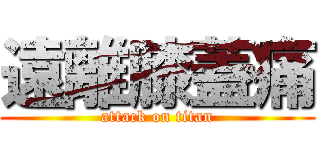 遠離膝蓋痛 (attack on titan)