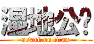 湿地公园 (attack on titan)