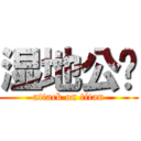 湿地公园 (attack on titan)