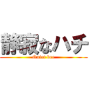 静寂なハチ (Quiet bee)