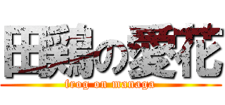 田鶏の愛花 (frog on managa)