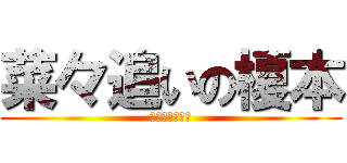 菜々追いの榎本 (逃げられる榎本)