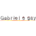 Ｇａｂｒｉｅｌ ｅ ｇａｙ (Gabriel e gay)