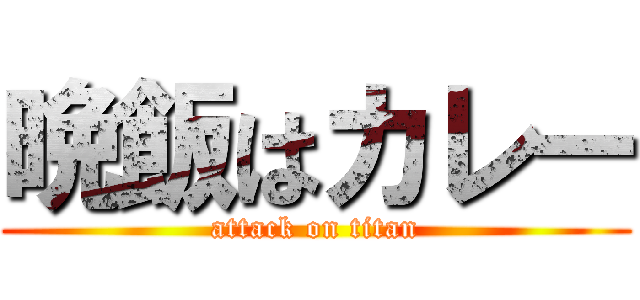 晩飯はカレー (attack on titan)