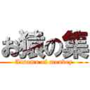 お猿の集 (Atsumu of monkey)