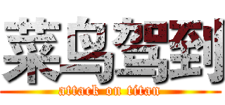 菜鸟驾到 (attack on titan)