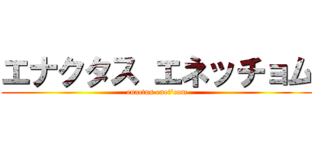 エナクタス エネッチョム (enactus enet'com)