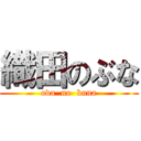 織田のぶな (oda  no  buna)