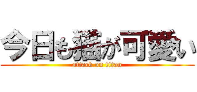 今日も猫が可愛い (attack on titan)