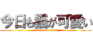 今日も猫が可愛い (attack on titan)