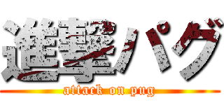 進撃パグ (attack on pug)