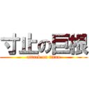 寸止の巨根 (attack on titan)