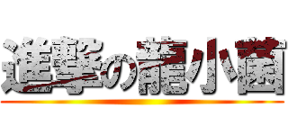 進撃の龍小菌 ()