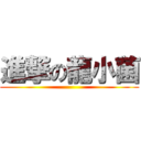 進撃の龍小菌 ()