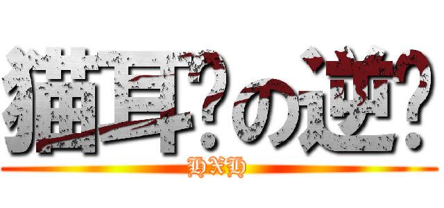 猫耳朵の逆袭 (HXH)