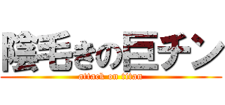 陰毛きの巨チン (attack on titan)
