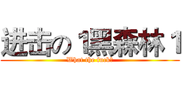 进击の１黑森林１ (What the fuck?)