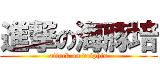 進撃の海豚培 (attack on dolphin)