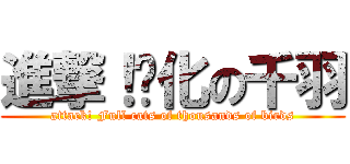 進撃！貓化の千羽 (attack! Full cats of thousands of birds)