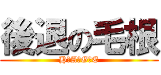 後退の毛根 (H　A　G　E)