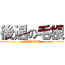 後退の毛根 (H　A　G　E)