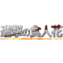 進撃の食人花 (K-1 Power)