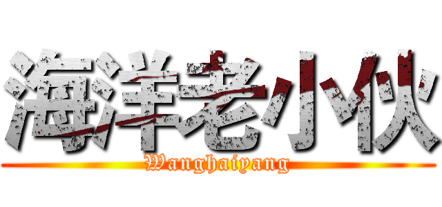 海洋老小伙 (Wanghaiyang)