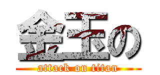 金玉の (attack on titan)